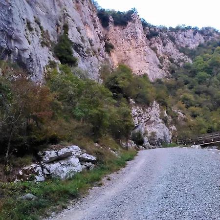 Apartment Bari Buzet