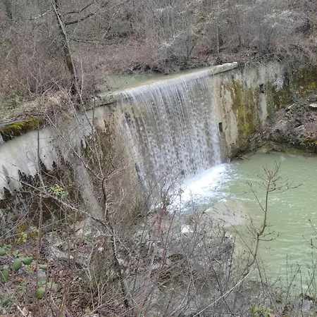 Bari Buzet